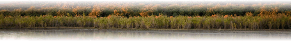 Image is not available